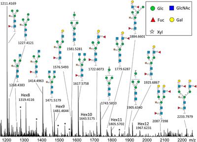 Spatial Mapping of Plant N-Glycosylation Cellular Heterogeneity Inside Soybean Root Nodules Provided Insights Into Legume-Rhizobia Symbiosis